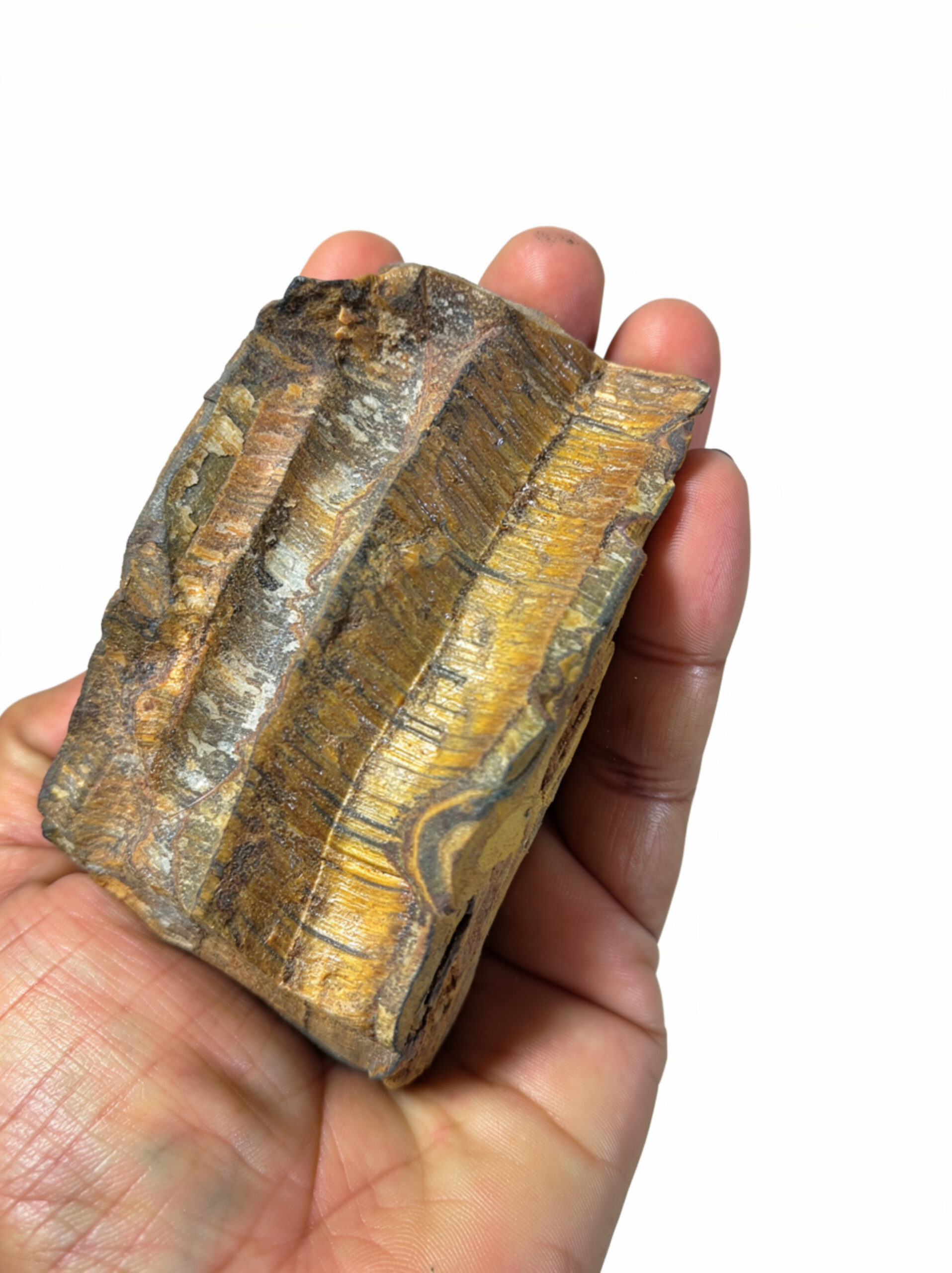 Tiger Eye Crystal 🐯